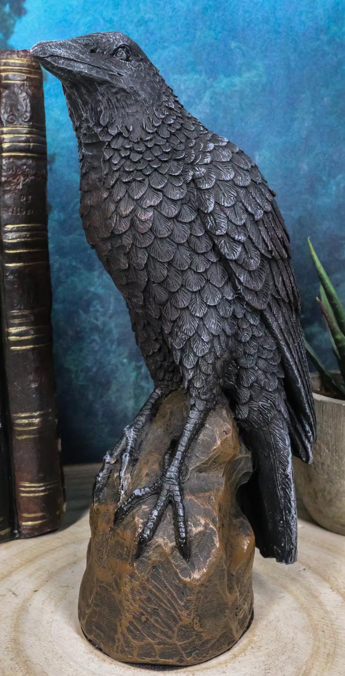 ebros gift Ebros Gothic Raven Statue Crow Scavenger Bird Perching On Rock Figurine 6"H