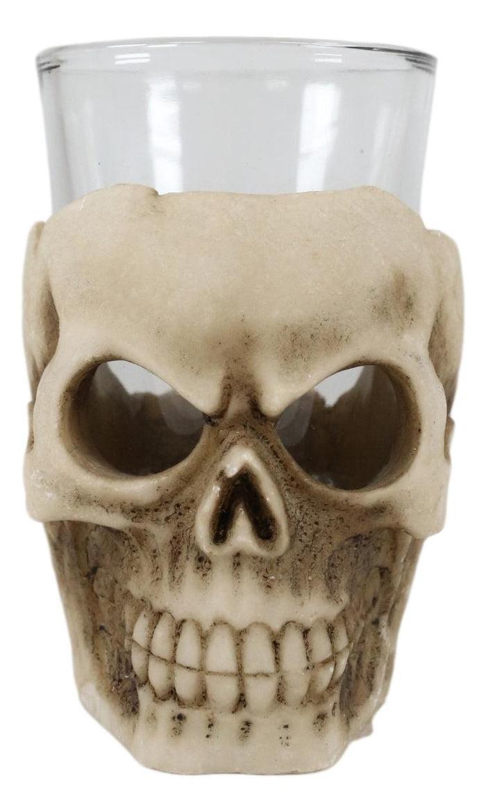 Ebros Gift Ebros Grinning Skull Shot Glass Set Of 6 Altar Of Skulls Skeleton Ossuary Skull