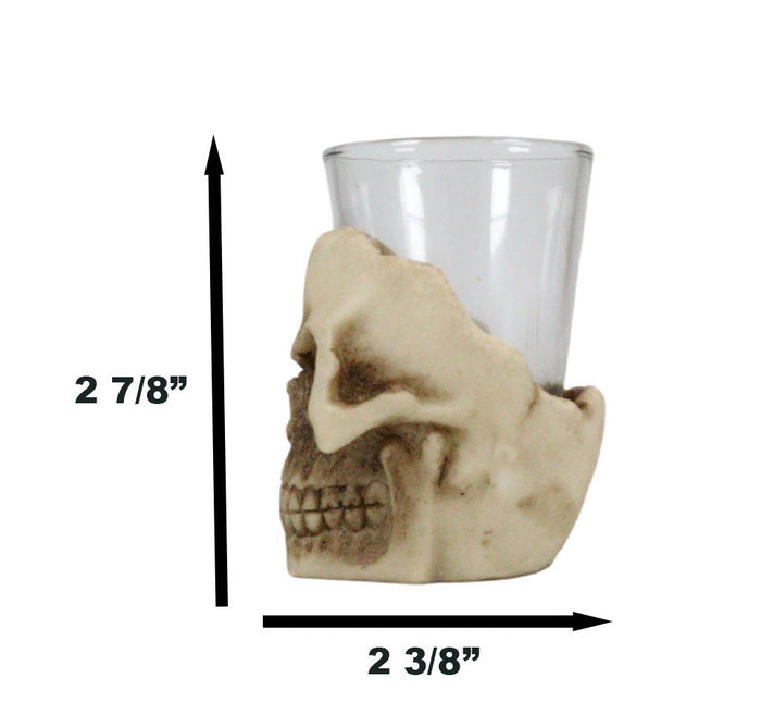 Ebros Gift Ebros Grinning Skull Shot Glass Set Of 6 Altar Of Skulls Skeleton Ossuary Skull