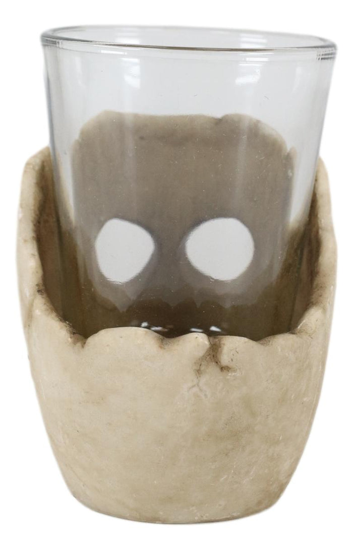 Ebros Gift Ebros Grinning Skull Shot Glass Set Of 6 Altar Of Skulls Skeleton Ossuary Skull