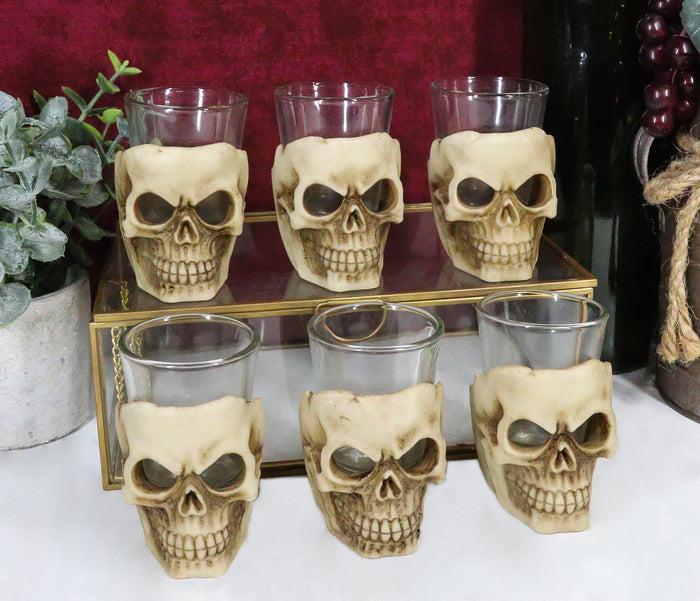 ebros gift Ebros Grinning Skull Shot Glass Set of 6 Altar of Skulls Skeleton Ossuary Skull