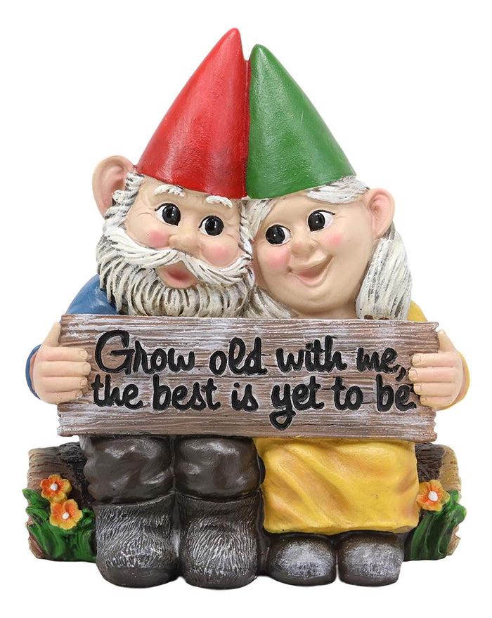 Ebros Gift Ebros Grow Old With Me The Best Is Yet To Be Whimsical Mr & Mrs Gnome Statue