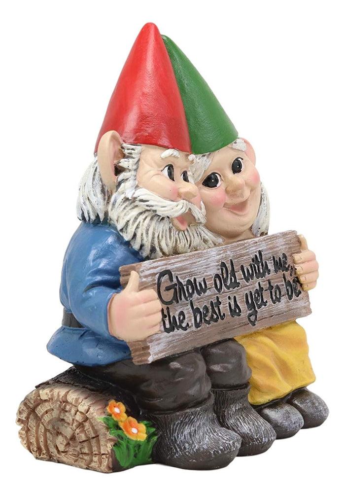 Ebros Gift Ebros Grow Old With Me The Best Is Yet To Be Whimsical Mr & Mrs Gnome Statue