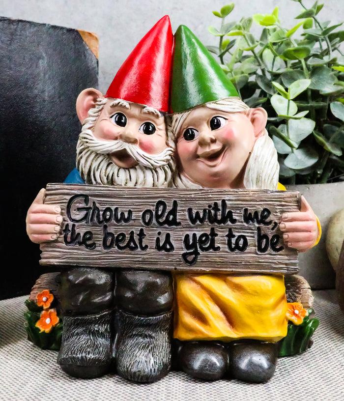 ebros gift Ebros Grow Old With Me The Best Is Yet To Be Whimsical Mr & Mrs Gnome Statue