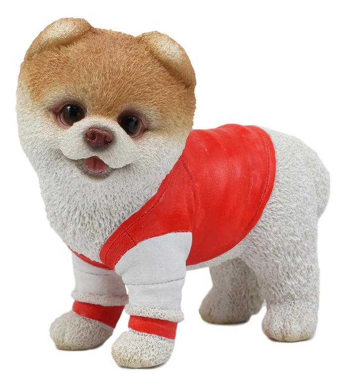 Ebros Gift Ebros Gym Bro Boo The World's Cutest Pomeranian Dog Statue Pet Pal Dogs Collectible Breed Pomeranians Memorial Collectible Resin Decor Figurine With Glass Eyes Official Licensed Sculpture