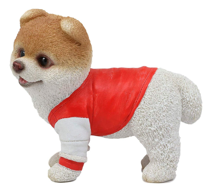Ebros Gift Ebros Gym Bro Boo The World's Cutest Pomeranian Dog Statue Pet Pal Dogs Collectible Breed Pomeranians Memorial Collectible Resin Decor Figurine With Glass Eyes Official Licensed Sculpture