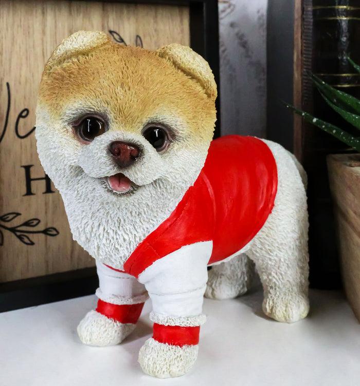 ebros gift Ebros Gym Bro Boo The World's Cutest Pomeranian Dog Statue Pet Pal Dogs Collectible Breed Pomeranians Memorial Collectible Resin Decor Figurine with Glass Eyes Official Licensed Sculpture