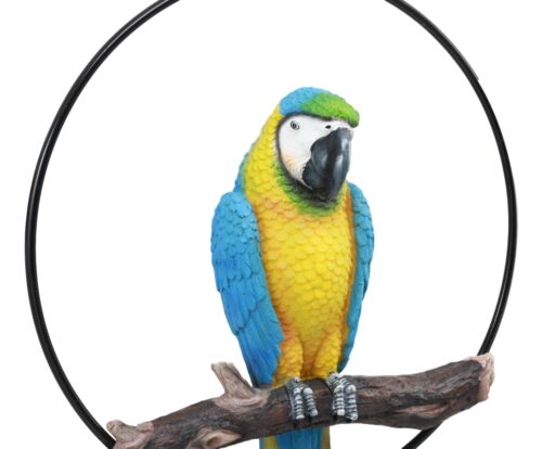 Ebros Gift Ebros Hanging Blue And Gold Macaw Perching On Branch In Metal Round Ring 13.5"H