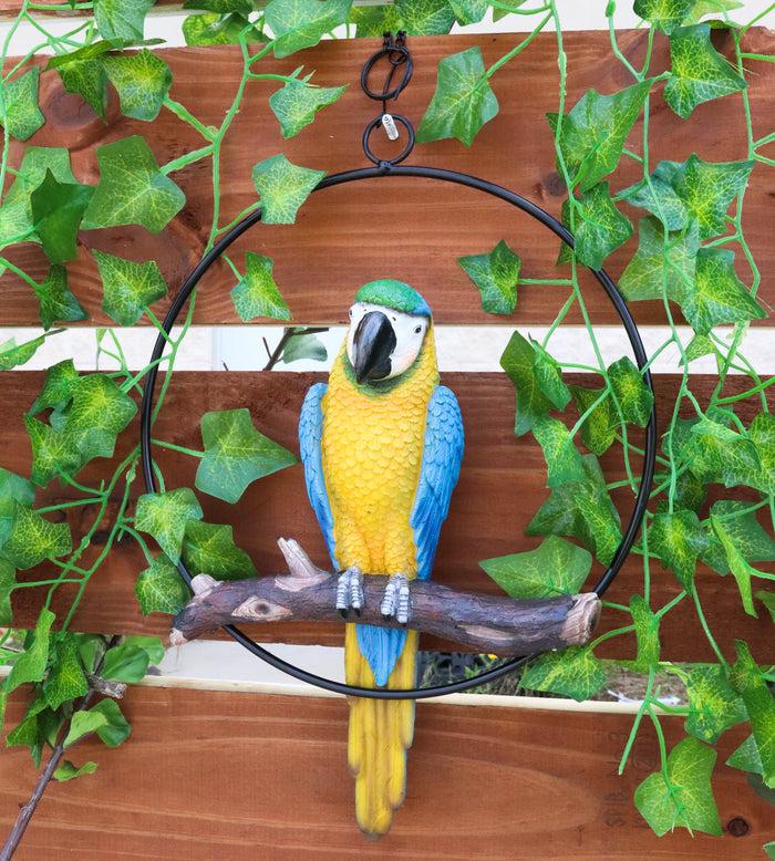ebros gift Ebros Hanging Blue And Gold Macaw Perching on Branch in Metal Round Ring 13.5"H