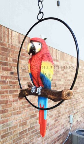Ebros Gift Ebros Hanging Scarlet Macaw Parrot Perching On Branch In Metal Round Ring Figurine 13.5" H