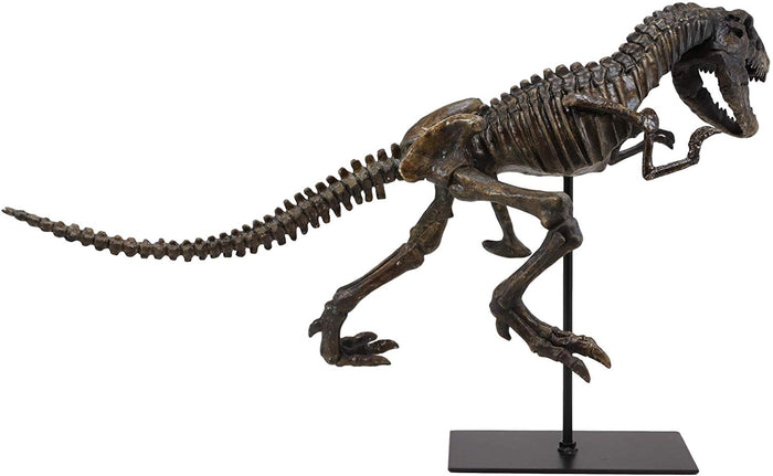 Ebros Gift Ebros Jurassic Dinosaur Tyrannosaurus Rex Fossil Skeleton Statue On Museum Mount 24"L