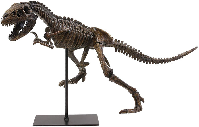 Ebros Gift Ebros Jurassic Dinosaur Tyrannosaurus Rex Fossil Skeleton Statue On Museum Mount 24"L