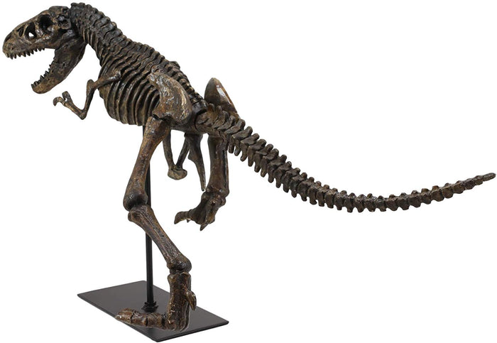 Ebros Gift Ebros Jurassic Dinosaur Tyrannosaurus Rex Fossil Skeleton Statue On Museum Mount 24"L