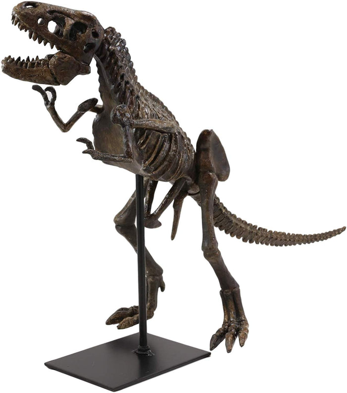 Ebros Gift Ebros Jurassic Dinosaur Tyrannosaurus Rex Fossil Skeleton Statue On Museum Mount 19"L