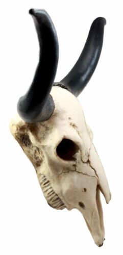 Ebros Gift Ebros Large 27"Wide Longhorn Steer Cow Skull Wall Head Hanging Sculpture Plaque