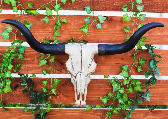 ebros gift Ebros Large 27"Wide Longhorn Steer Cow Skull Wall Head Hanging Sculpture Plaque