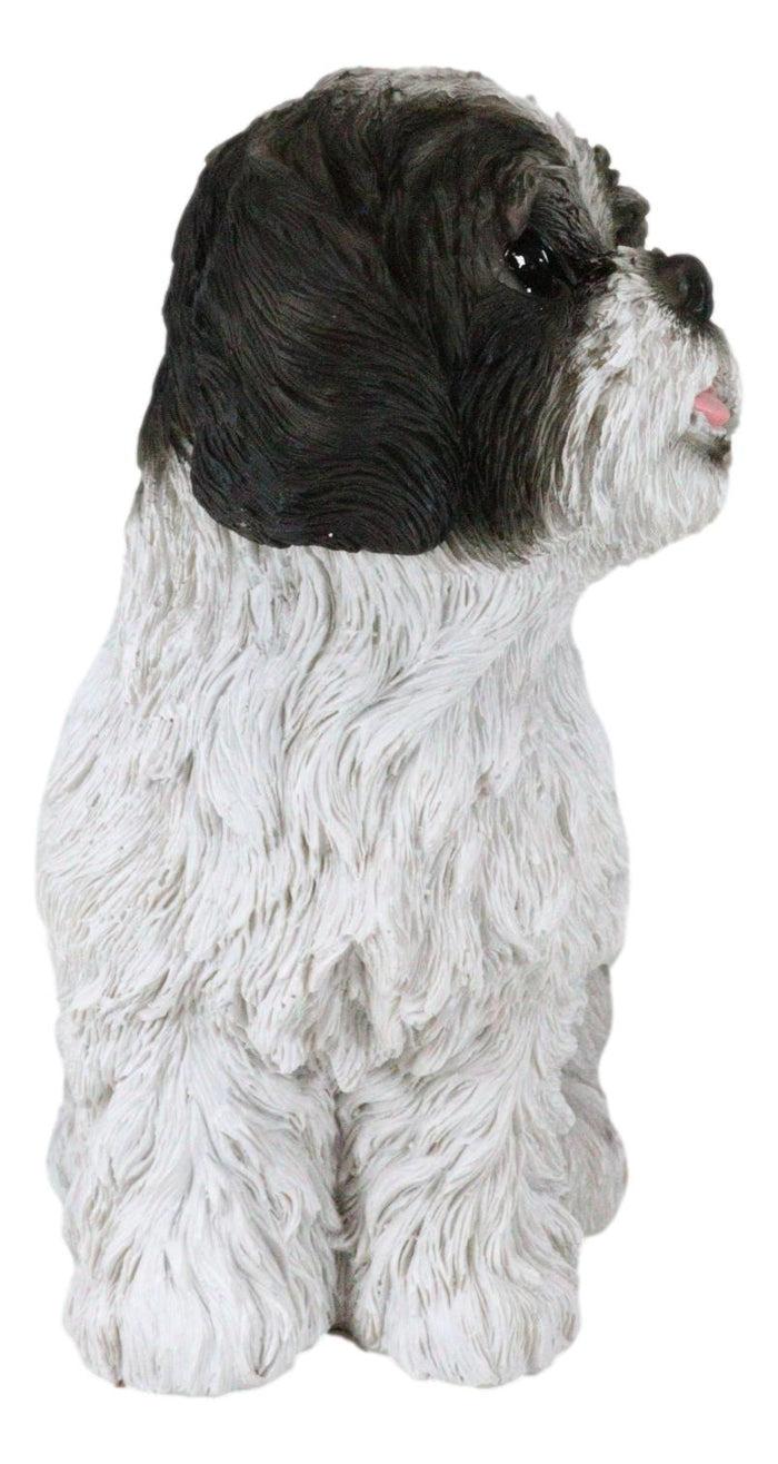 Ebros Gift Ebros Large Adorable Lifelike Shih Tzu Dog Statue 10.25" Tall Realistic Glass Eyes