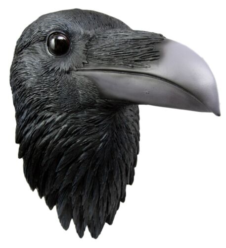 Ebros Gift Ebros Large Black Raven Crow Scavenger Bird Wall Plaque 14.5" Tall Home Decor