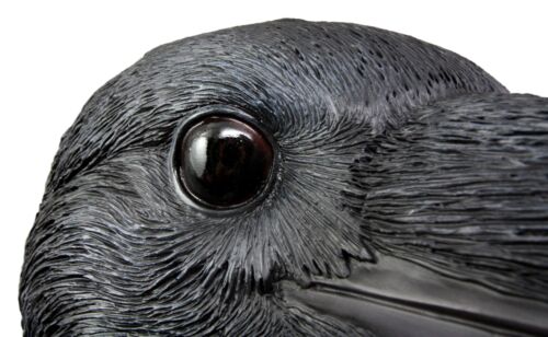 Ebros Gift Ebros Large Black Raven Crow Scavenger Bird Wall Plaque 14.5" Tall Home Decor