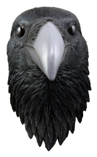 ebros gift Ebros Large Black Raven Crow Scavenger Bird Wall Plaque 14.5" Tall Home Decor