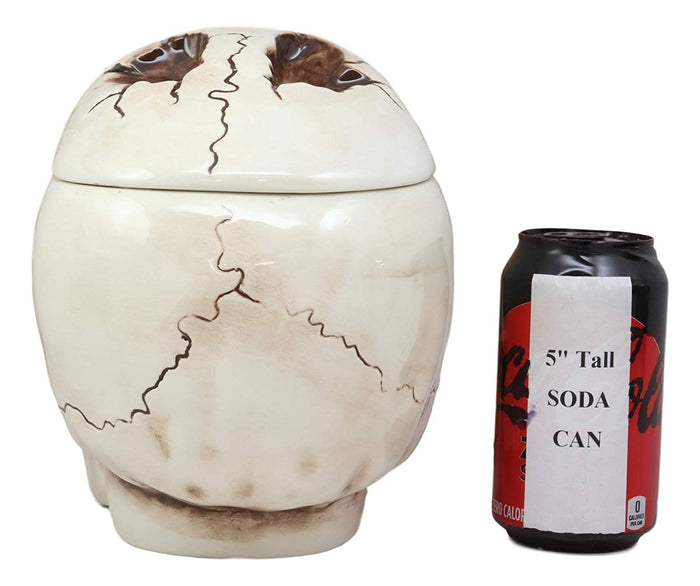 Ebros Gift Ebros Large Ceramic Homosapien Jointed Human Skull Cookie Jar Figurine 9.25" L