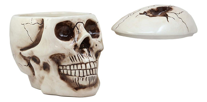 Ebros Gift Ebros Large Ceramic Homosapien Jointed Human Skull Cookie Jar Figurine 9.25" L