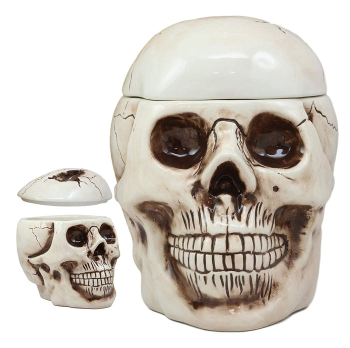 Ebros Gift Ebros Large Ceramic Homosapien Jointed Human Skull Cookie Jar Figurine 9.25" L