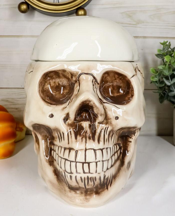ebros gift Ebros Large Ceramic Homosapien Jointed Human Skull Cookie Jar Figurine 9.25" L