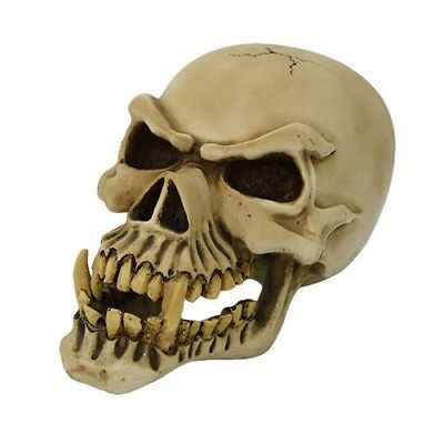 ebros gift Ebros Large Dragon Demon Skull Skeleton Figurine 9.5" Long Novelty Halloween Decor