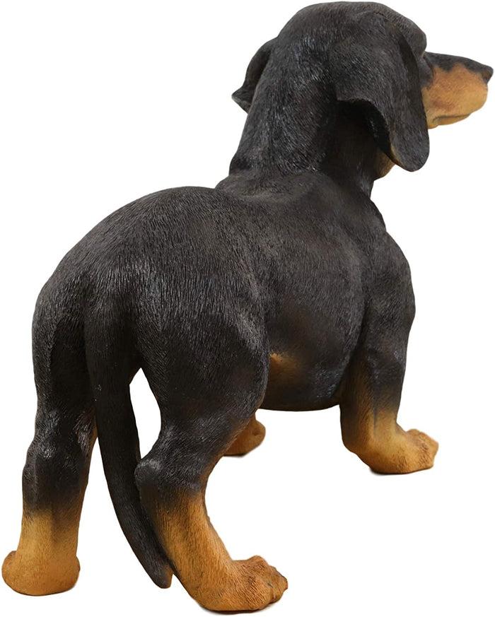 Ebros Gift Ebros Large Lifelike Realistic Black And Tan Dachshund Dog Statue 19.5" Long