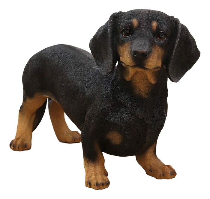 ebros gift Ebros Large Lifelike Realistic Black and Tan Dachshund Dog Statue 19.5" Long