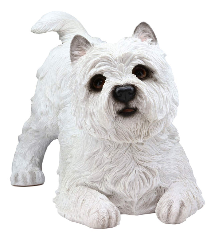 Ebros Gift Ebros Large Lifelike West Highland Terrier White Westie Dog Statue 13.75"Long