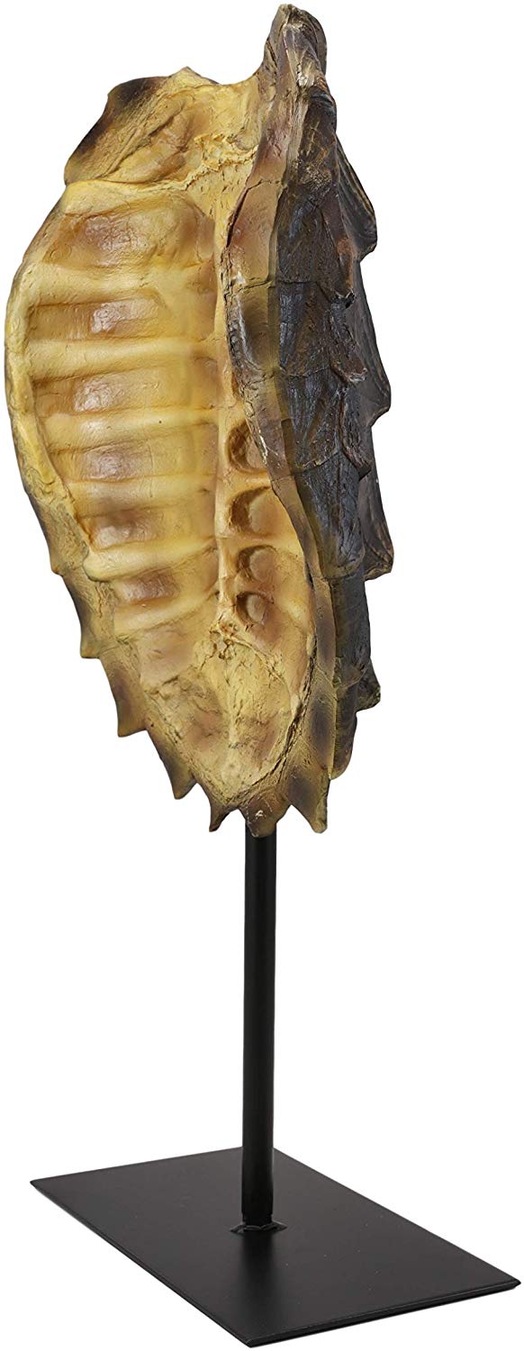 Ebros Gift Ebros Large Nautical Reptile Alligator Snapping Turtle Shell Sculpture On Museum Stand