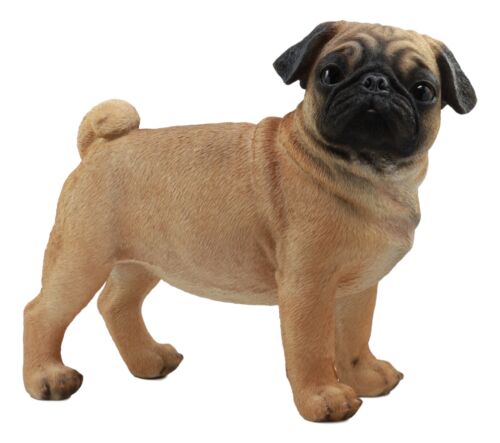 Ebros Gift Ebros Large Realistic Fawn Pug Dog Statue 12"L Fine Pedigree Dog Breed Pugsy