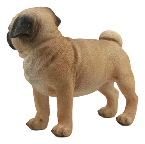Ebros Gift Ebros Large Realistic Fawn Pug Dog Statue 12"L Fine Pedigree Dog Breed Pugsy