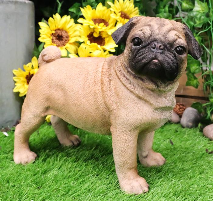 ebros gift Ebros Large Realistic Fawn Pug Dog Statue 12"L Fine Pedigree Dog Breed Pugsy