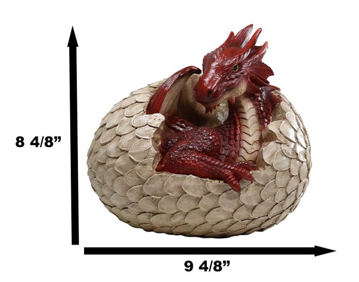 Ebros Gift Ebros Large Smaug Red Baby Dragon Hatchling In Egg Statue 9.5" Long Dungeons Dragons Legends Fantasy Home And Garden Accent Decor Sculpture Medieval Renaissance Figurine Centerpiece