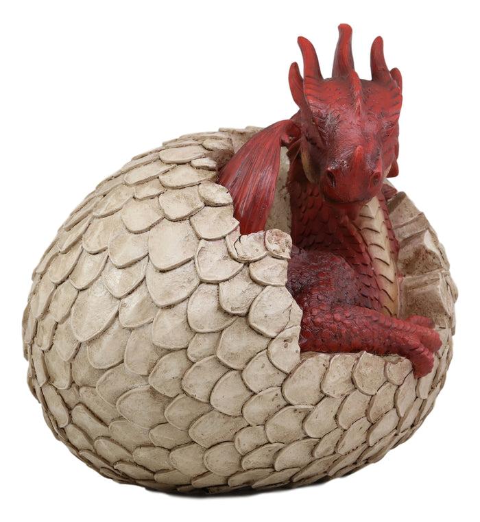 Ebros Gift Ebros Large Smaug Red Baby Dragon Hatchling In Egg Statue 9.5" Long Dungeons Dragons Legends Fantasy Home And Garden Accent Decor Sculpture Medieval Renaissance Figurine Centerpiece