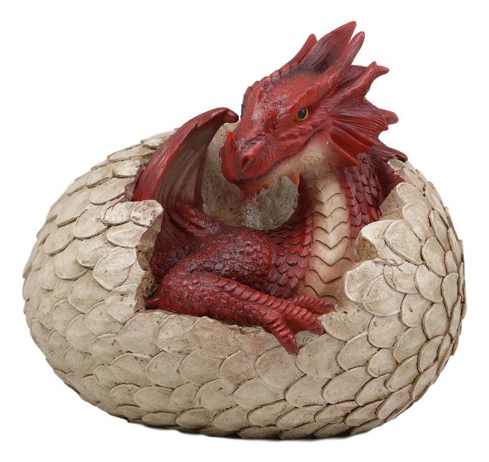 ebros gift Ebros Large Smaug Red Baby Dragon Hatchling in Egg Statue 9.5" Long Dungeons Dragons Legends Fantasy Home and Garden Accent Decor Sculpture Medieval Renaissance Figurine Centerpiece