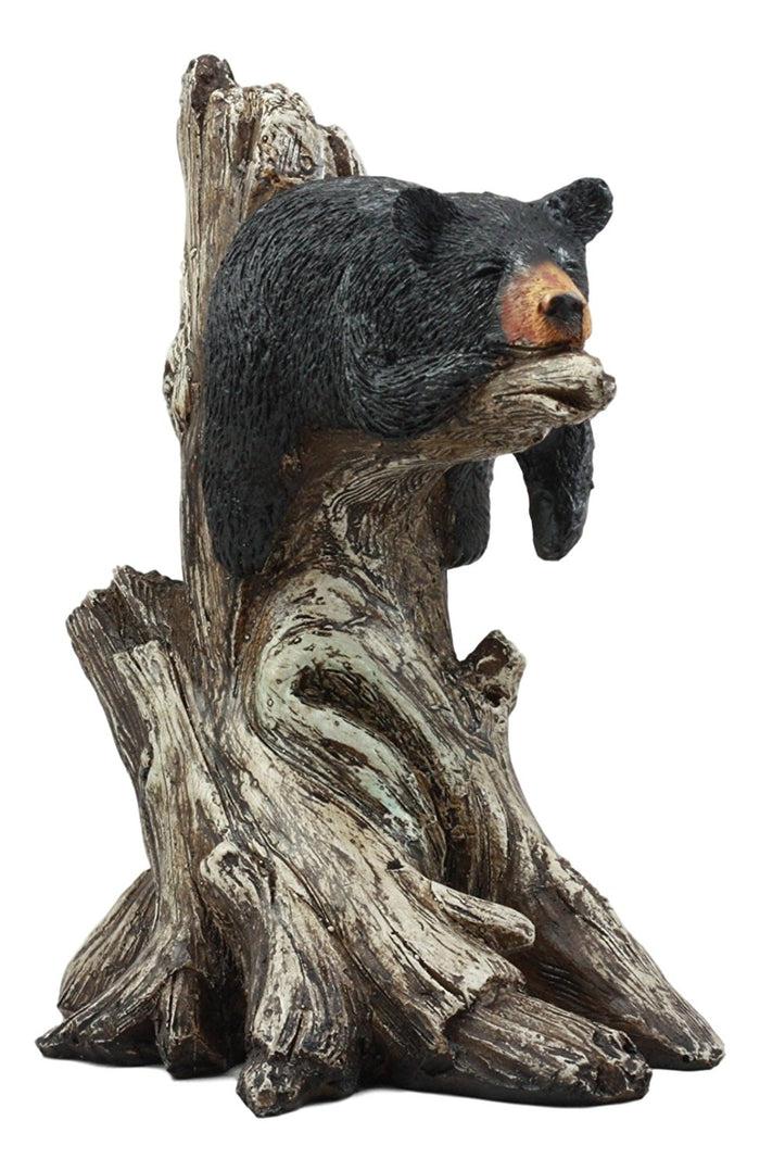 Ebros Gift Ebros Lazy Days Of Summer Black Bear Sleeping On Tree Branch Statue Wildlife Forest Rustic Cabin Decor Bear Figurine