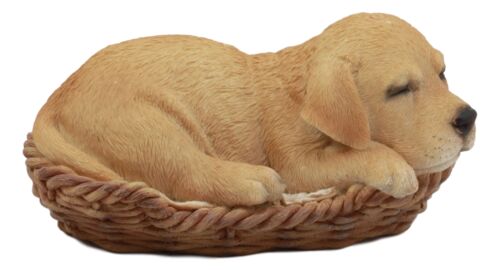 Ebros Gift Ebros Lifelike Adorable Labrador Retriever Dog Sleeping In Wicker Basket Statue 6.25" Long Realistic Pet Pal Dog Breed Collectible Resin Decor Figurine