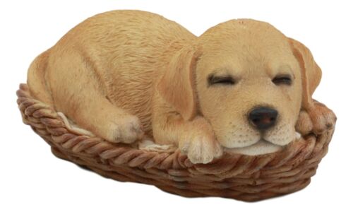 Ebros Gift Ebros Lifelike Adorable Labrador Retriever Dog Sleeping In Wicker Basket Statue 6.25" Long Realistic Pet Pal Dog Breed Collectible Resin Decor Figurine