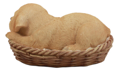 Ebros Gift Ebros Lifelike Adorable Labrador Retriever Dog Sleeping In Wicker Basket Statue 6.25" Long Realistic Pet Pal Dog Breed Collectible Resin Decor Figurine
