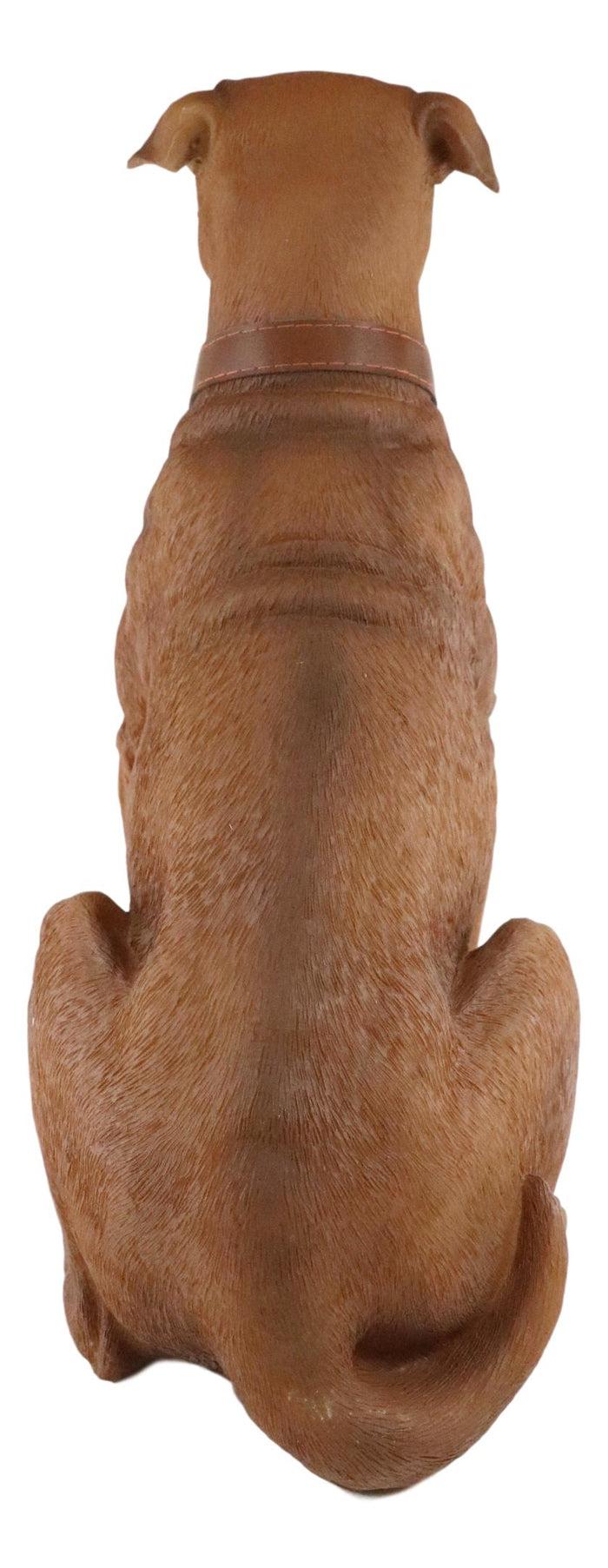 Ebros Gift Ebros Lifelike American Pit Bull Pet Dog Statue W/ Jingle Collar And Sign 13"H