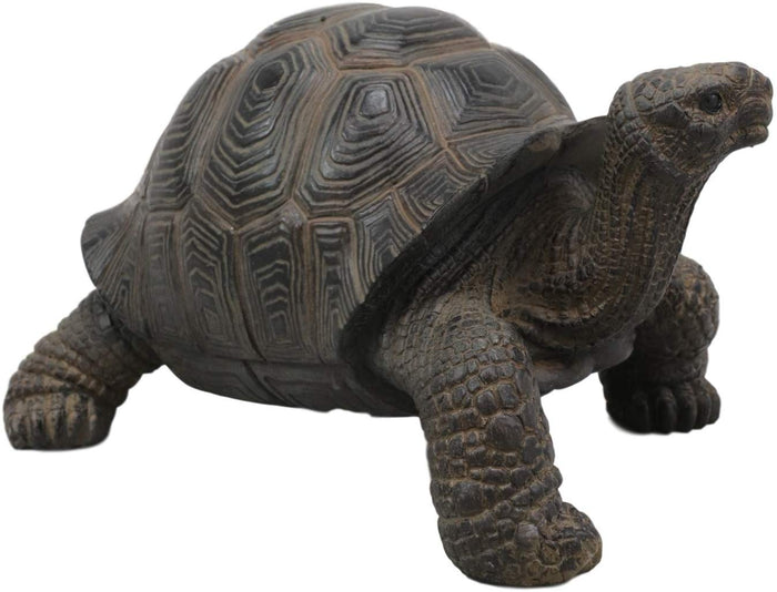 Ebros Gift Ebros Lifelike Galapagos Tortoise Statue 6.5" Wide Lucky Zen Turtle Figurine