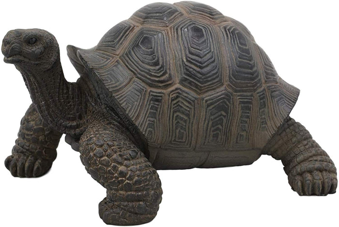 Ebros Gift Ebros Lifelike Galapagos Tortoise Statue 6.5" Wide Lucky Zen Turtle Figurine