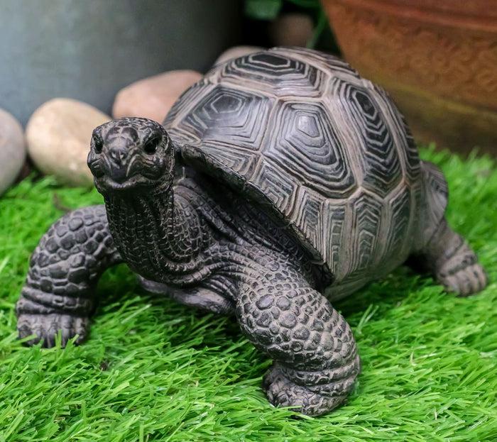 ebros gift Ebros Lifelike Galapagos Tortoise Statue 6.5" Wide Lucky Zen Turtle Figurine