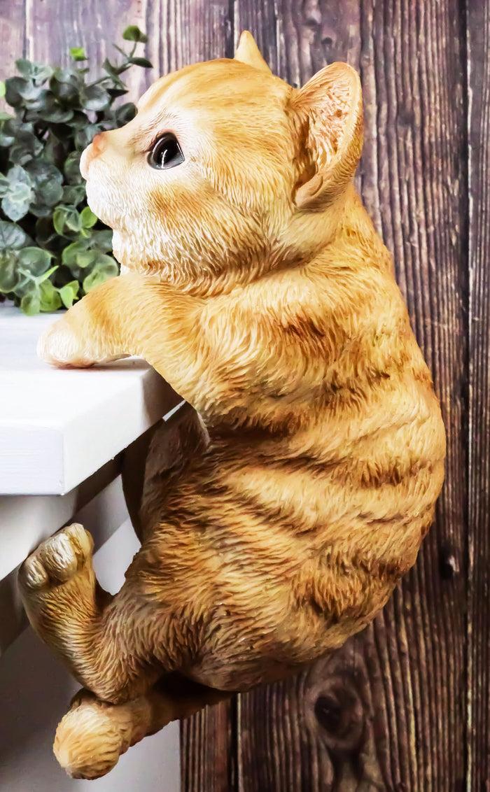 ebros gift Ebros Lifelike Pot Pal Hanging Orange Tabby Cat Statue 8"Tall With Glass Eyes Decor