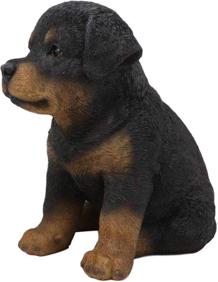 Ebros Gift Ebros Lifelike Realistic Sitting Rottie Rottweiler Puppy Dog Statue 6.25" Tall