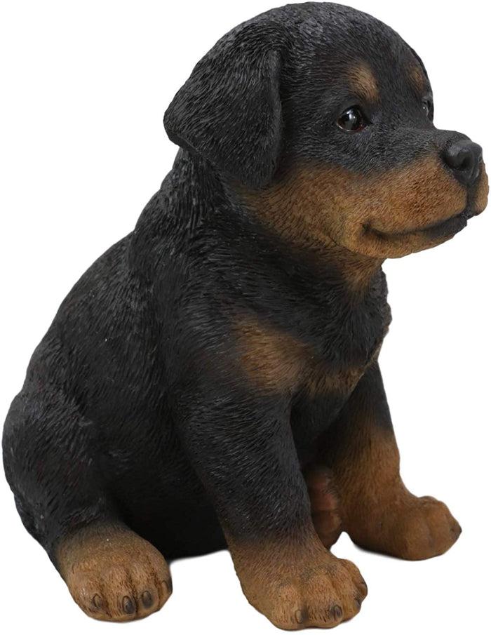 Ebros Gift Ebros Lifelike Realistic Sitting Rottie Rottweiler Puppy Dog Statue 6.25" Tall